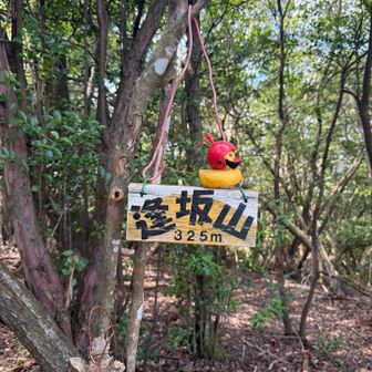 逢坂山到着