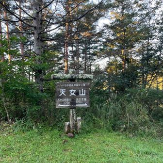 駐車場の脇が天女山の山頂。なんだか味気ない。