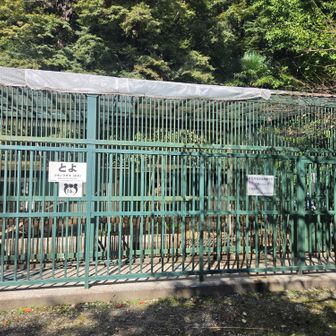 また高台寺へ下りてきました。
高台寺の横にはオリがあり、とよくんがいます🐻