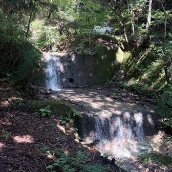 裏参道登山口にある清流
涼し気で👍