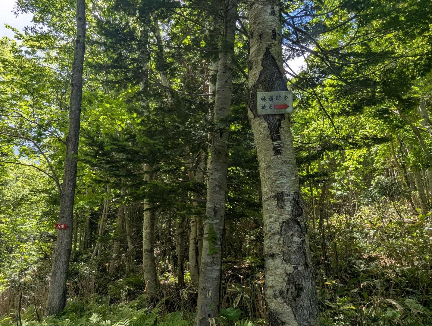 看板沢山あります!