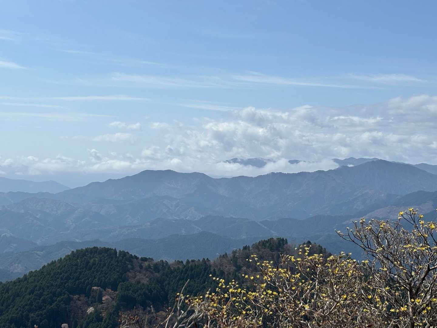 国見山山頂は見晴らしも良く、最高に気持ちいいです🤩