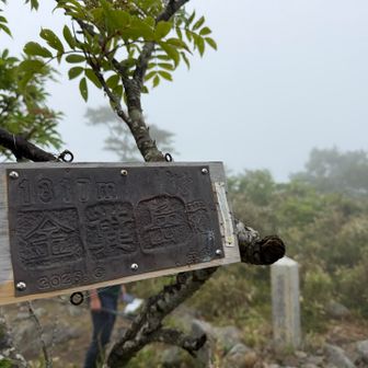 雨ふってたし！真っ白やし！！

めちゃくちゃ涼しいけど笑