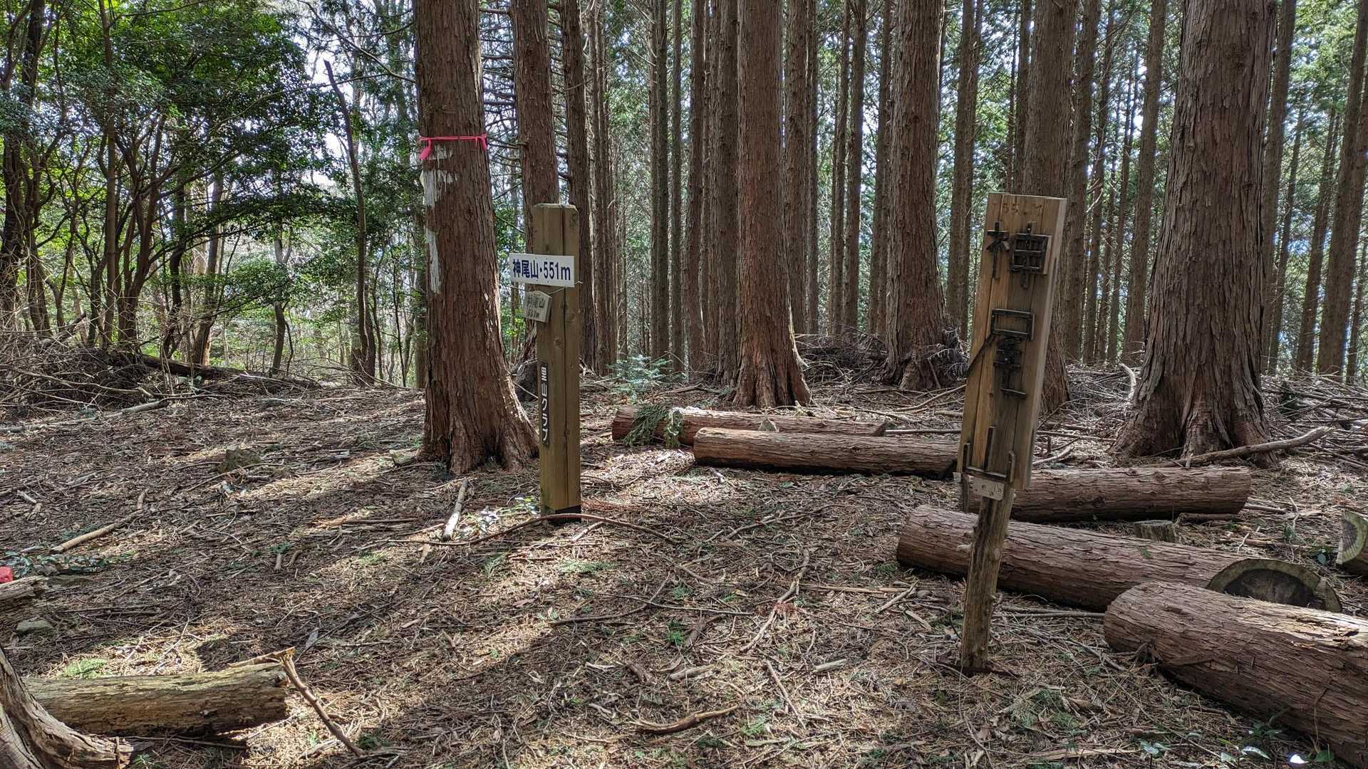 神尾山に到着