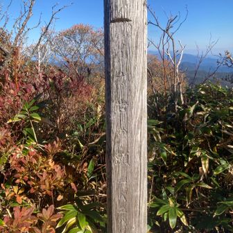 風化して読めない
イカイワの頭　ですってよ⛰️