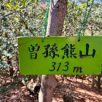 6座目。急に無骨なデザインに…