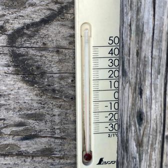 7℃
暖かいです