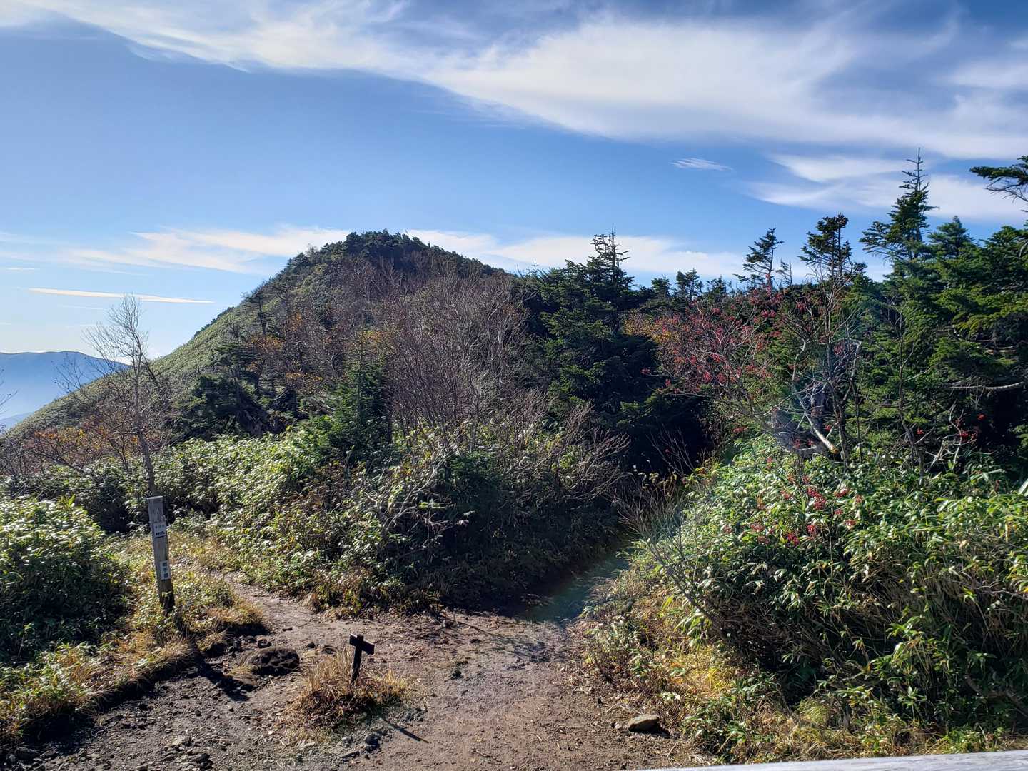 左から来て、山頂は右へ。
後ろは黒谷地、さらに恵比須森への道もあり。