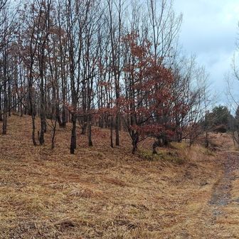 とても良い雰囲気です。