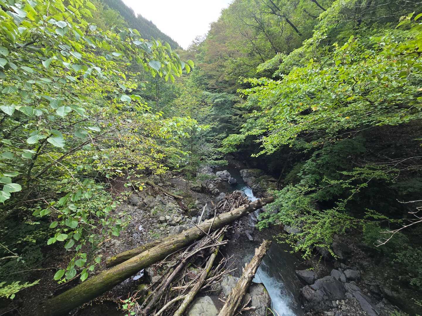 下山
4～6人で降りました。