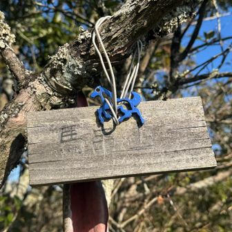 🚩馬串山

今年の初ピーク　馬のつく山