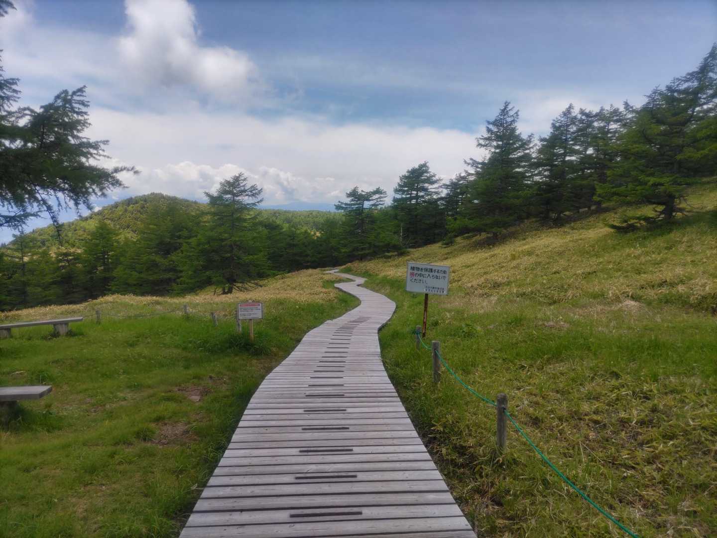 湿原へ向かう木道。雲まで行けそうです。