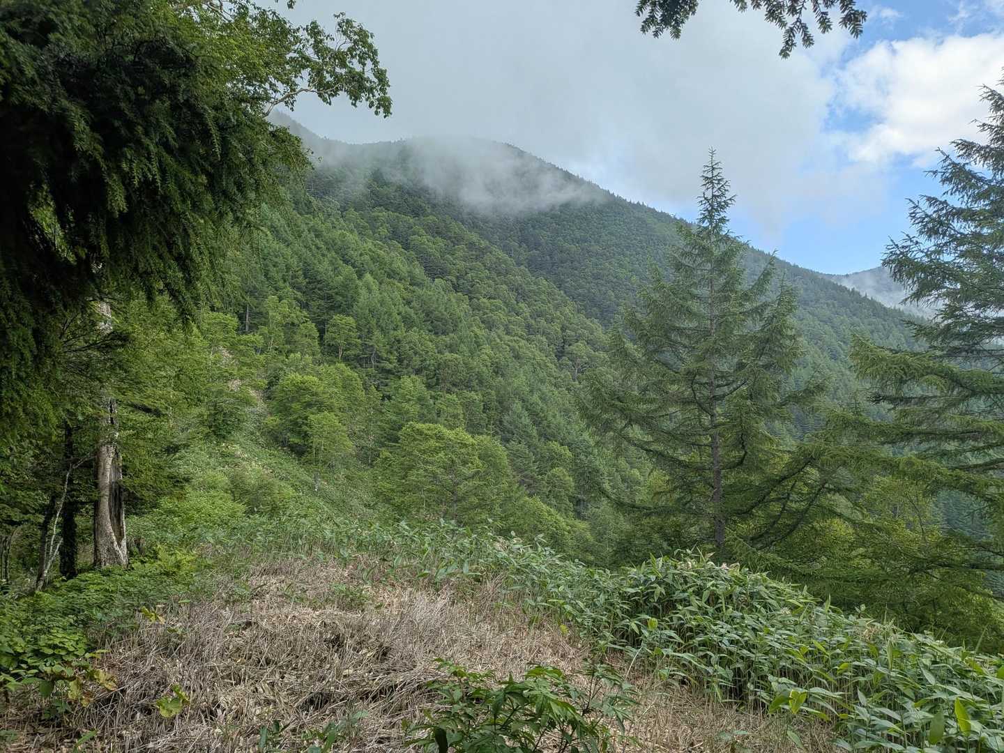 さようなら経ヶ岳👋