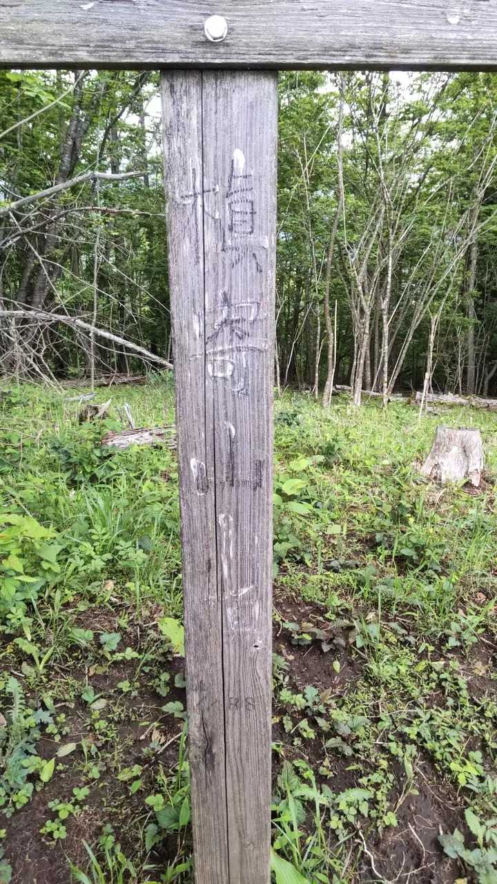 槇寄山の写真
