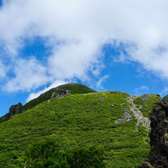 山頂まで見られました