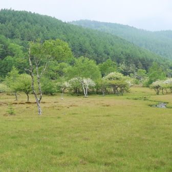 大阿原湿原