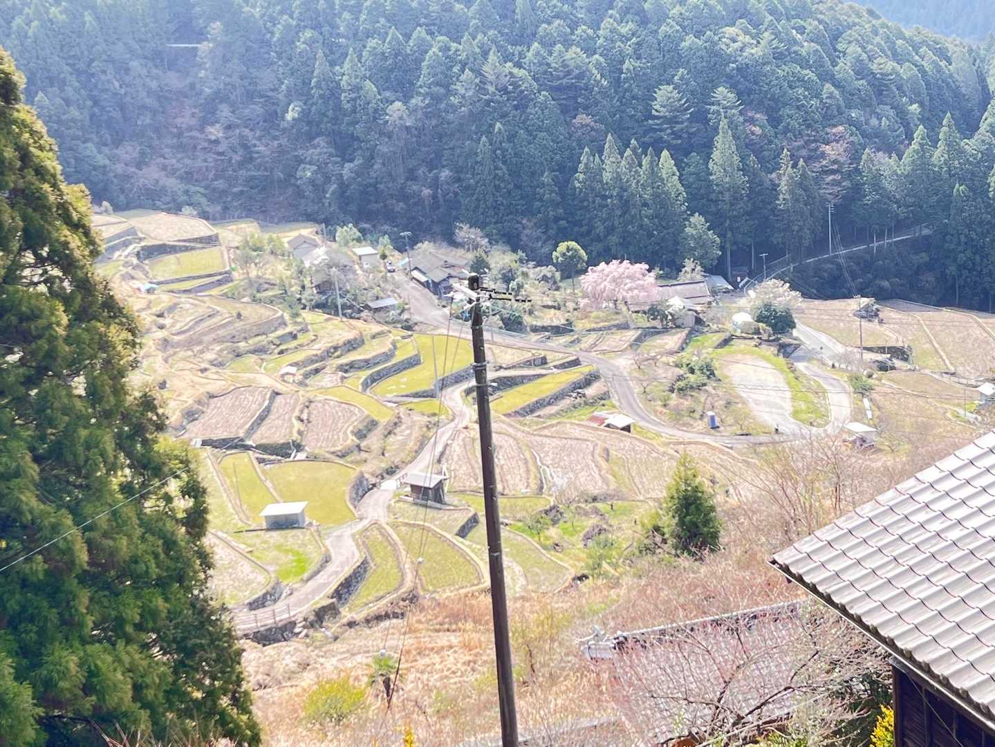 棚田が見えてきた😉