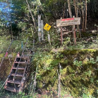 そして天狗塚登山口に無事に下山です✌️