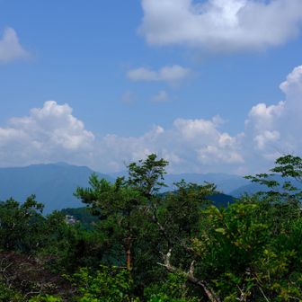 わかんない