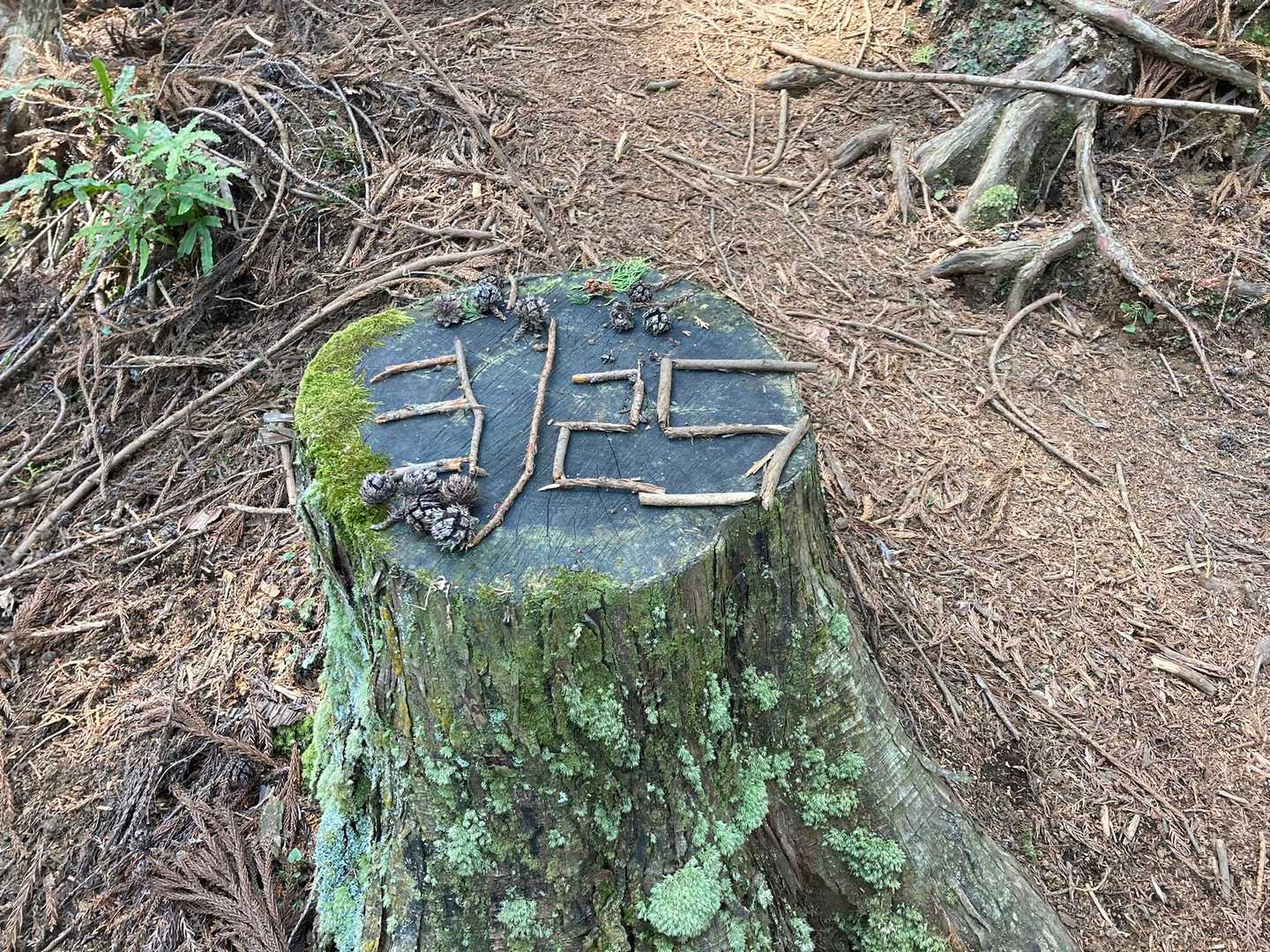 お疲れ山でした✨