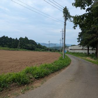 冬とやっぱり雰囲気は違うな―と。