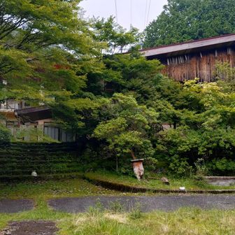 これがユーシンロッジ