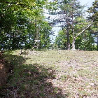 金山(1684m)山頂が見えた。この付近に多い、富士山方向だけの伐採