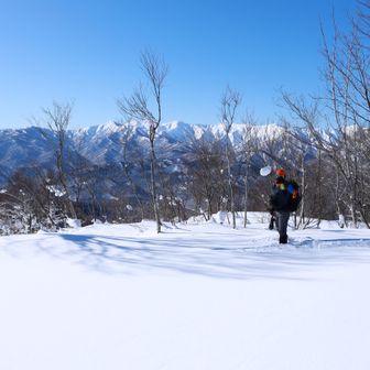 新鮮な美しさにぐっときます雪面
