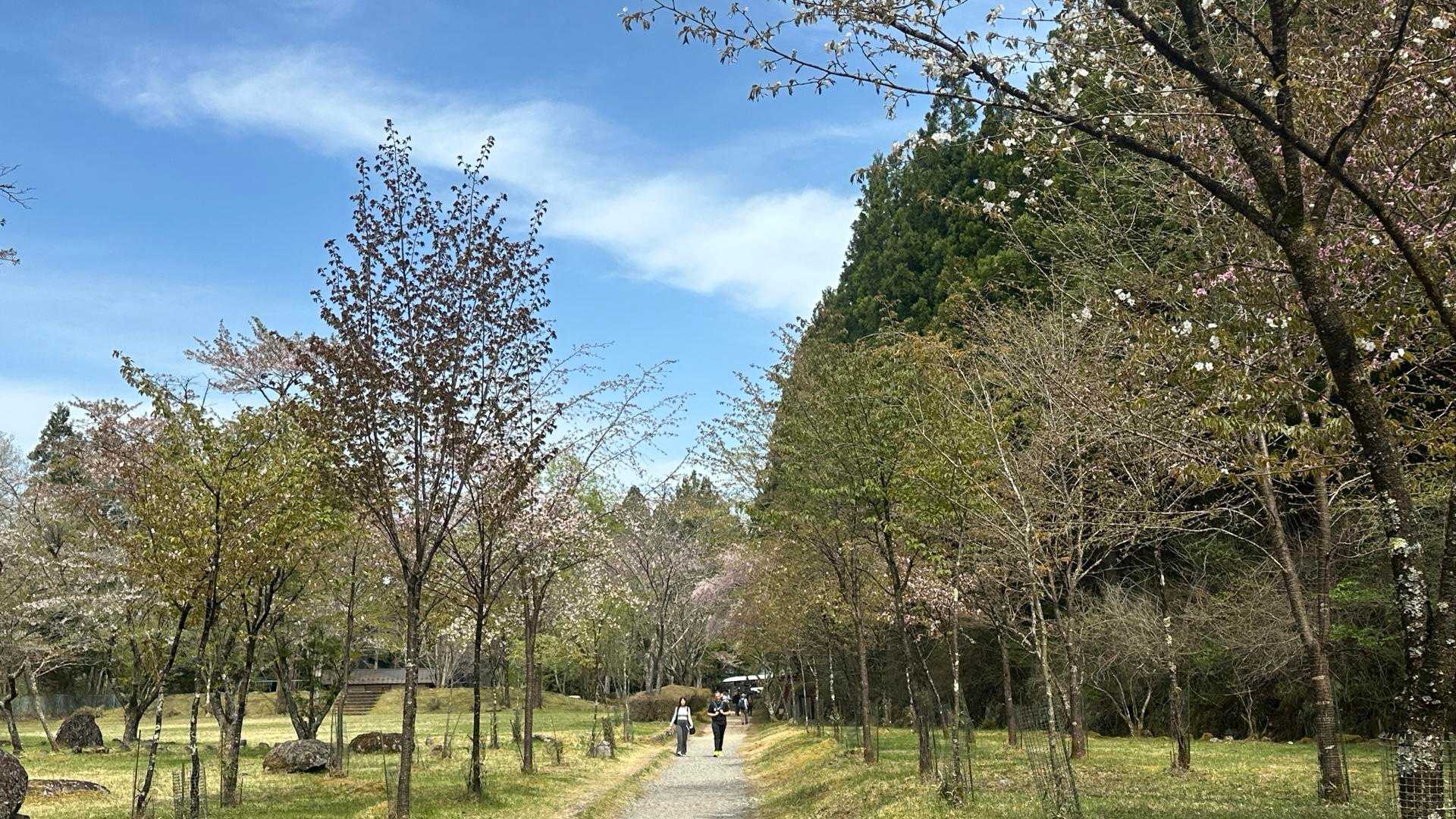 お散歩コース
一気に観光地に