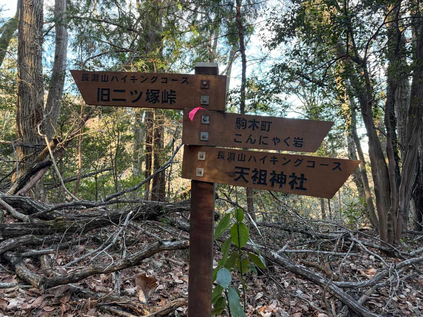 ここから登山道に合流🚬