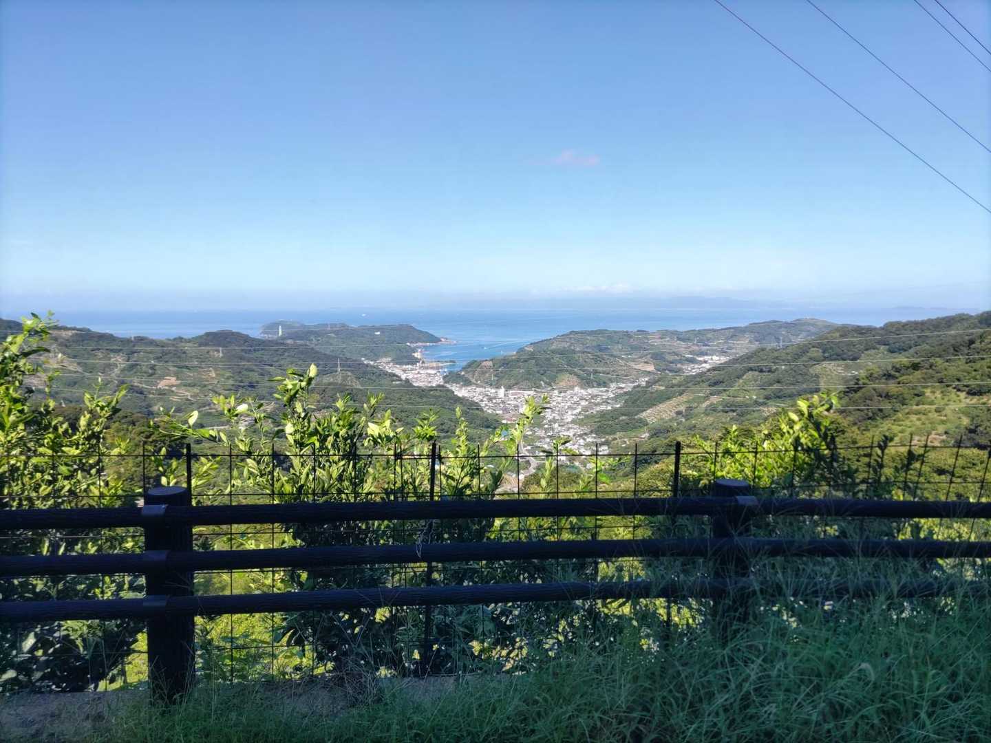 海が見える！この景色大好き！