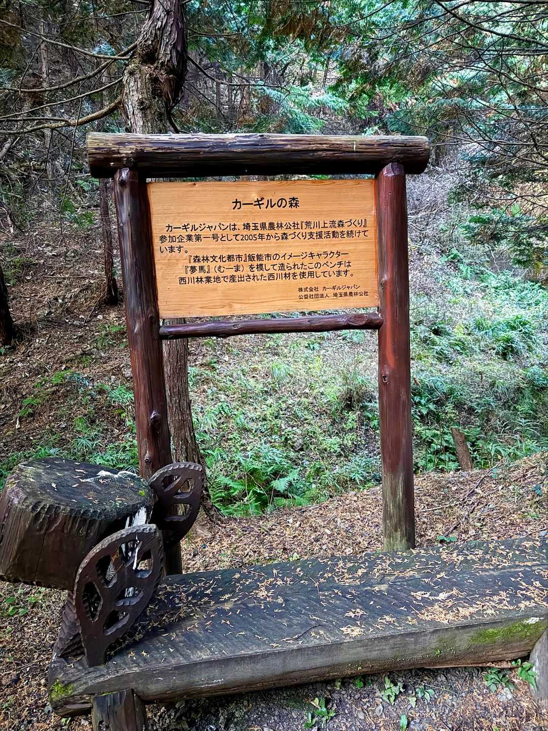 カーギルの森🌳