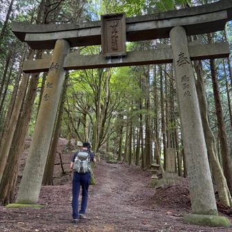最後の登り。
