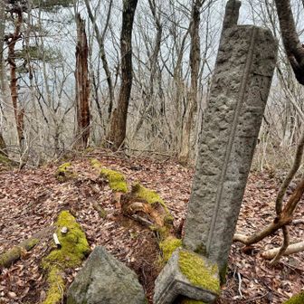 破損した献灯が一式揃ったのは何十年ぶりか🥺
笠が戻って良かった良かった🙏