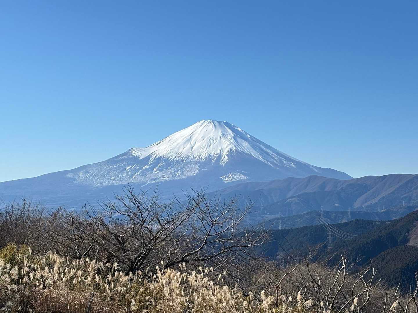 大野山山頂からの富士山
青空の下で美しい姿を見られる幸せ✨