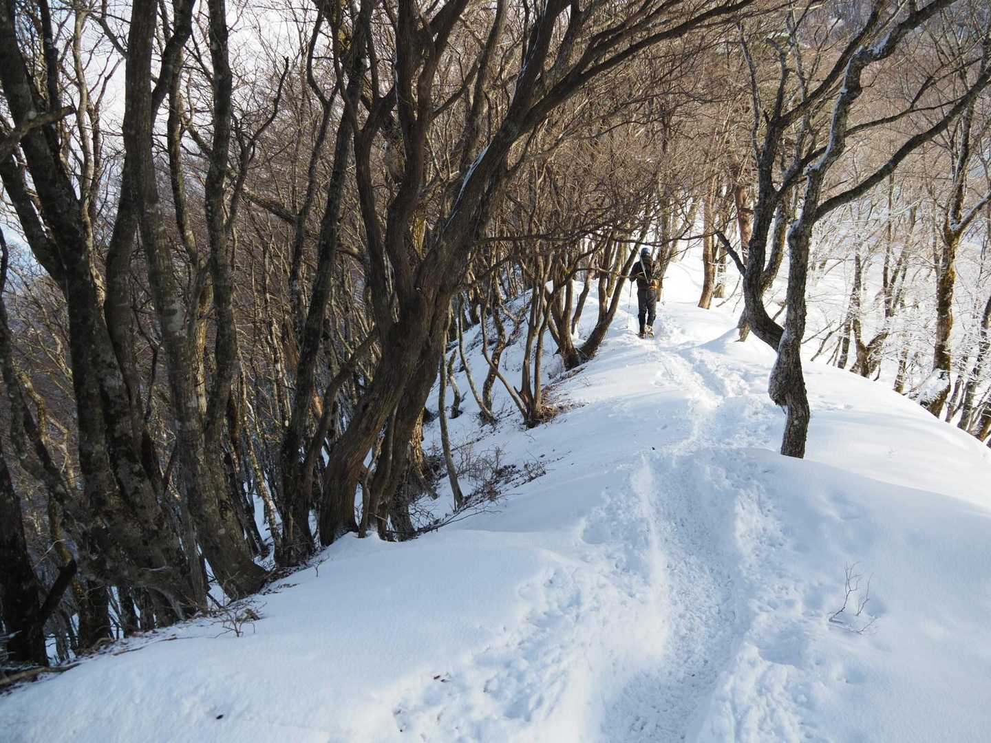 どんどん雪が増えます。先行登山者の方々のおかげでトレースはしっかりあります。