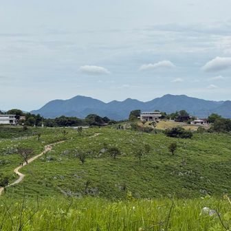 若竹山からみたい展望台