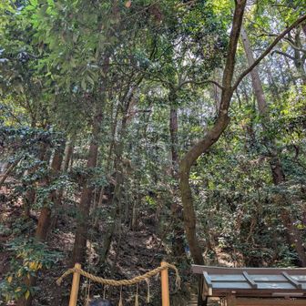 1年3ヶ月ぶりの御神体（三輪山）の登拝入り口です✨