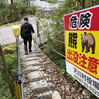 穴熊🦡には会ったが熊🐻に会わず無事下山😮‍💨