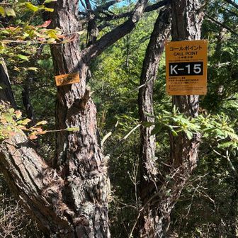 ん？後天狗岩への案内？