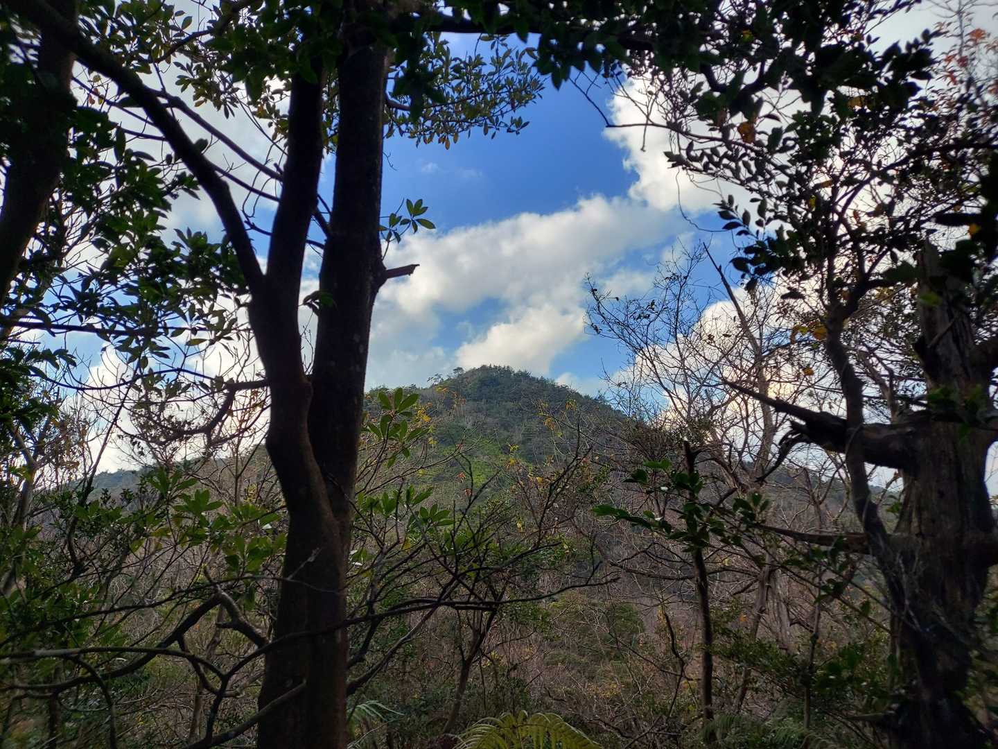 下山の途中振り返ると 、禅定寺山を眺めることができました。
