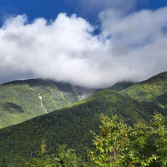 荒川岳はすっぽり隠れてる