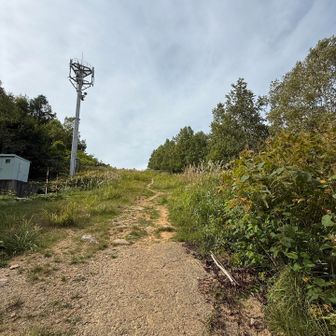 スキーコースを登る感じね！