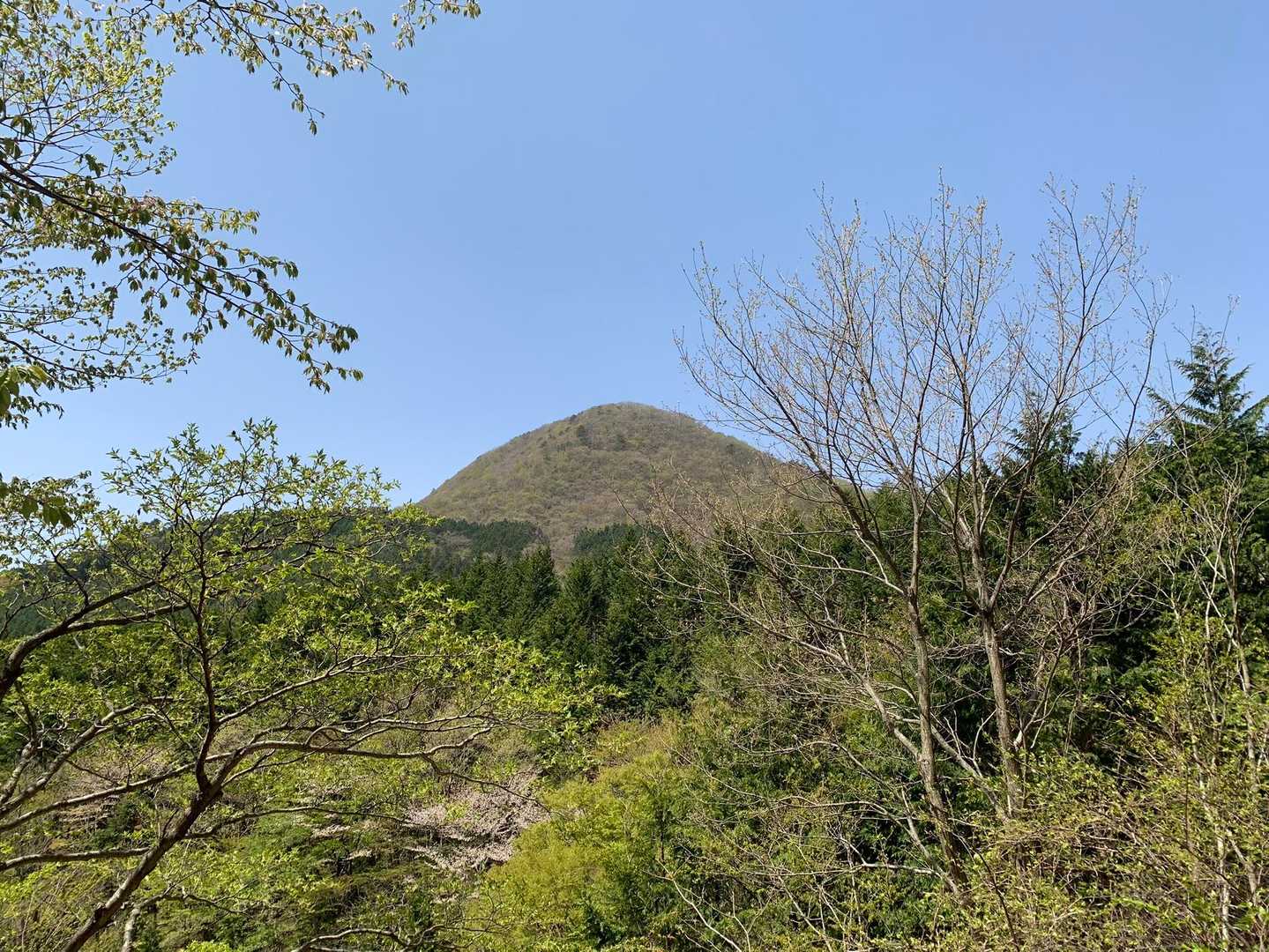 登ったお山を眺め