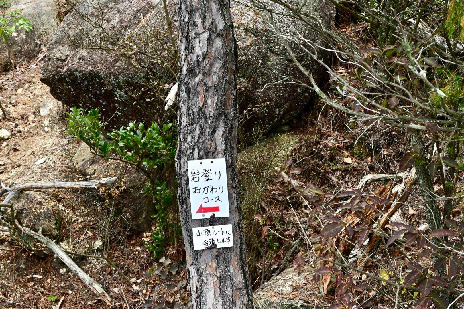 岩登りおかわりコースへ