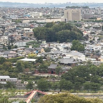 仏徳山からの平等院と宇治橋の眺め