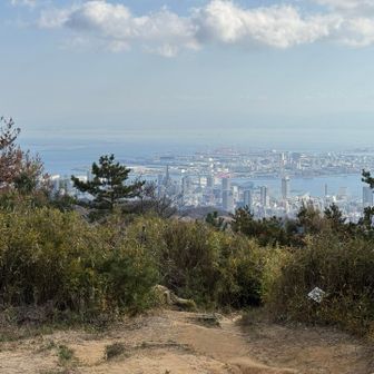 頂上からは神戸の街が霞んで見えます。