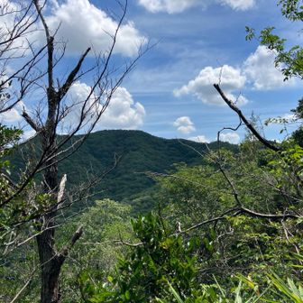 下山途中の景色