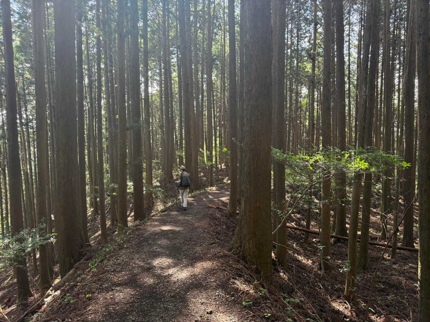まだ良き道続いている。