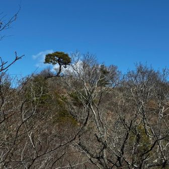 もう少しで山頂だね